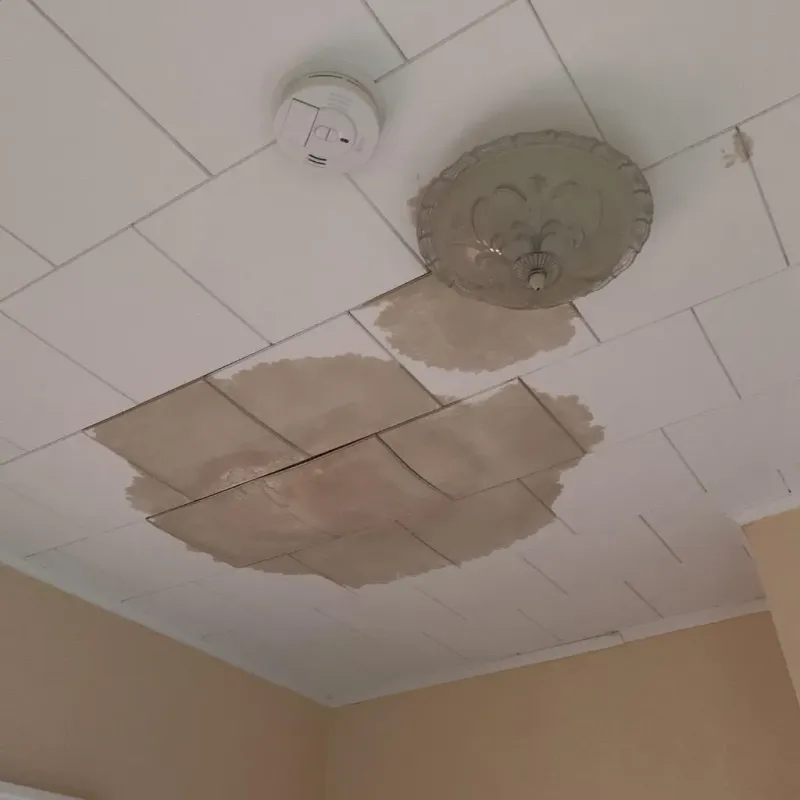 Ceiling Water Damage Repair in Roosevelt County, NM