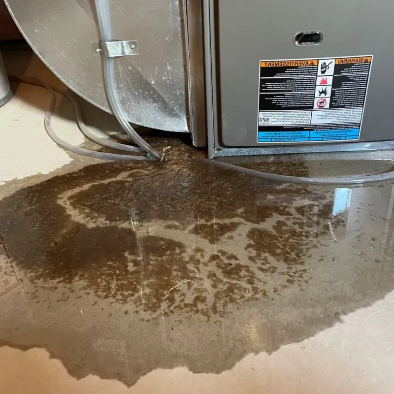 Pipe Burst and Leak Restoration in Roosevelt County, NM