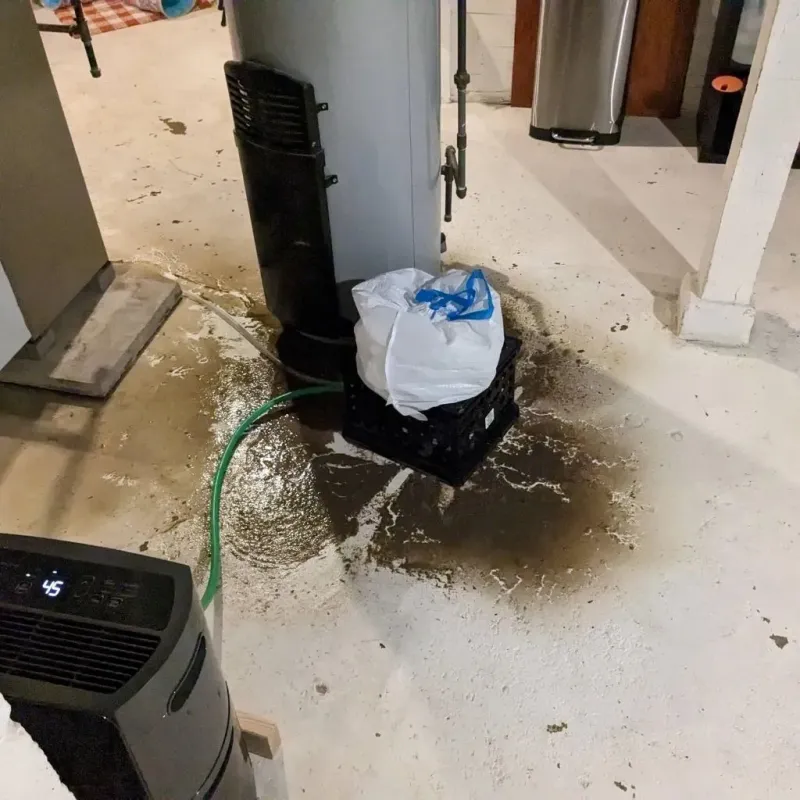 Sewage Backup Cleanup Service in Roosevelt County, NM